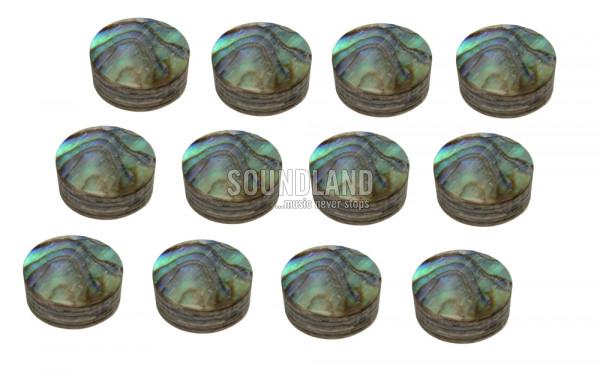 SLP Dot-Inlays Abalone