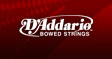 D'Addario