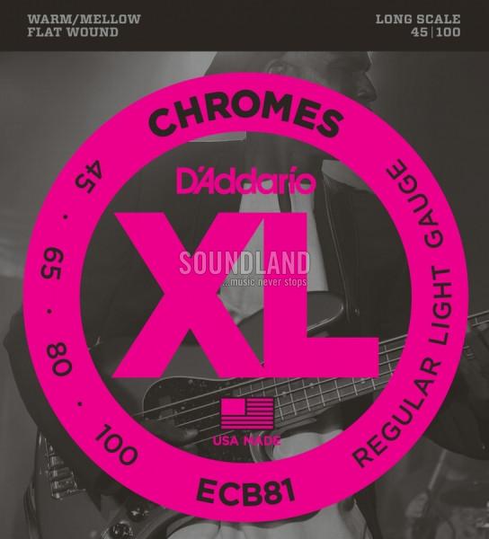 D'Addario ECB81 045-100