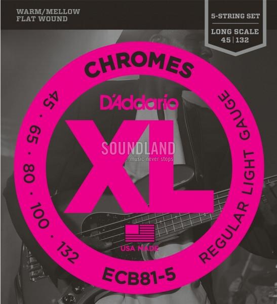 D'Addario ECB81-5 045-132