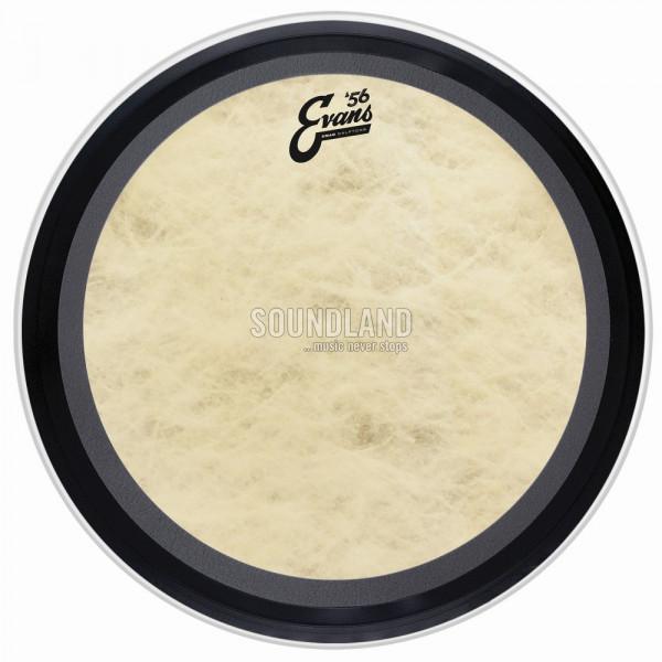 Evans BD22EMADCT 22'' EMAD Calftone Bassfell