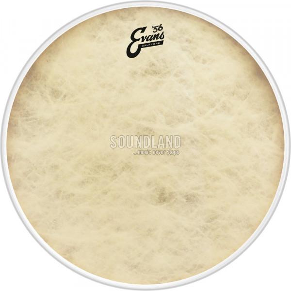 Evans BD20CT 20'' Calftone Bassfell