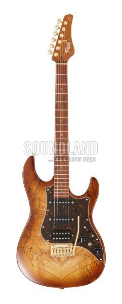 FGN Expert Odyssey EW HCB