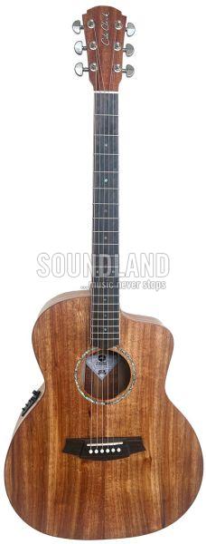 Cole Clark Studio SAN1EC-BLBL