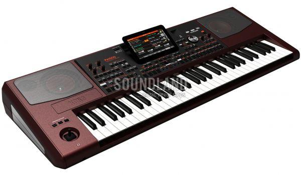 Korg PA1000 Professional Arranger